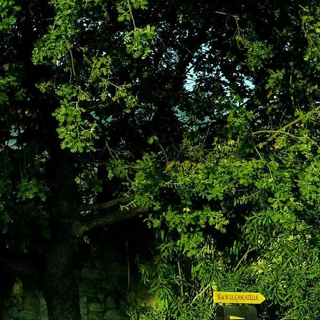 Le Cascatelle Alloggio per agriturismo Cerveteri
